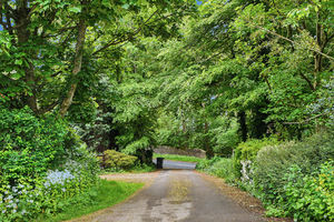 Entrance drive- click for photo gallery
